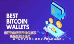 央行加密货币泡沫：数字