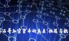 墨西哥加密货币的未来：