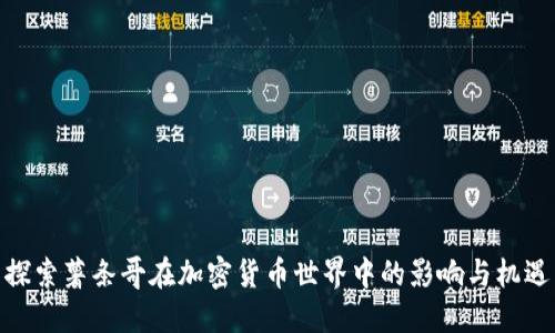 探索薯条哥在加密货币世界中的影响与机遇