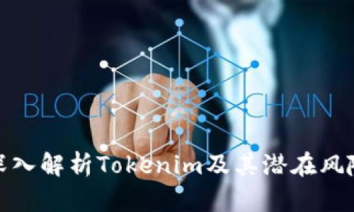 深入解析Tokenim及其潜在风险