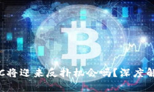 加密货币BTC将迎来反扑机会吗？深度解析未来走势