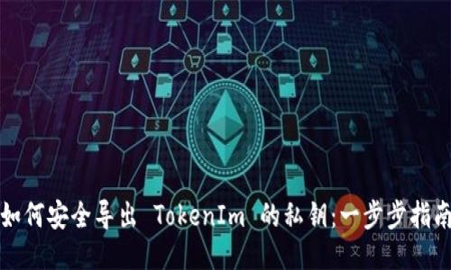 如何安全导出 TokenIm 的私钥：一步步指南
