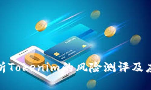全面解析Tokenim的风险测评及应对策略
