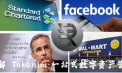   深入了解 Tokenim：一站式