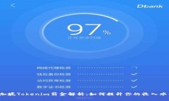 新加坡Tokenim薪金解析：如