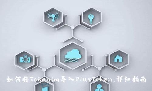 如何将Tokenim导入PlusToken：详细指南