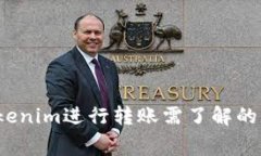  使用Tokenim进行转账需了解