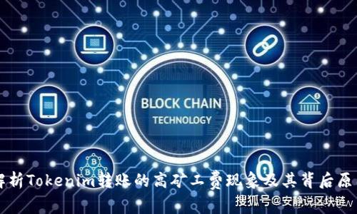 解析Tokenim转账的高矿工费现象及其背后原因