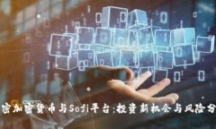 解密加密货币与Sofi平台：