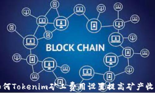 
如何Tokenim矿工费用设置提高矿产收益
