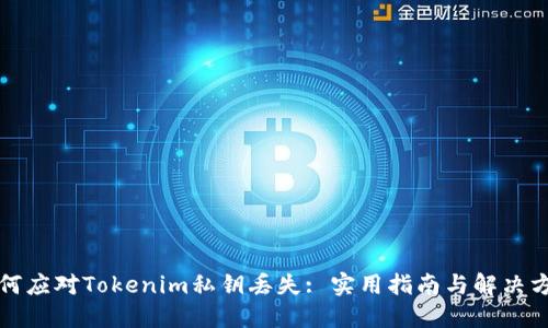如何应对Tokenim私钥丢失: 实用指南与解决方案