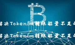 如何解决Tokenim转账能量不