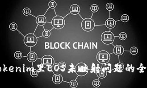 解决Tokenim里EOS未映射问题的全面指南