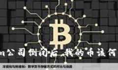 Tokenim公司倒闭后，我的币