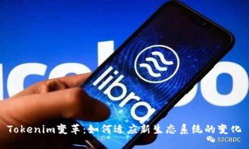 Tokenim变革：如何适应新生态系统的变化