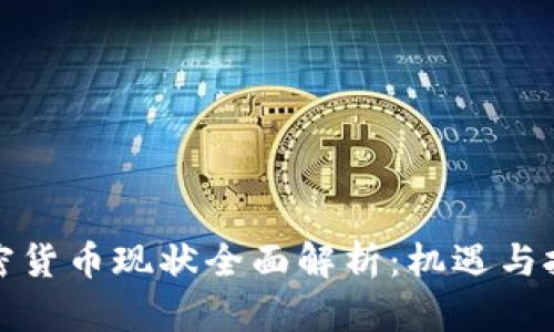 加密货币现状全面解析：机遇与挑战