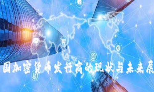 美国加密货币发行商的现状与未来展望