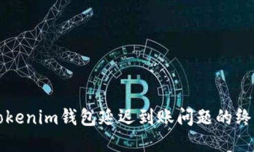 解决Tokenim钱包延迟到账问题的终极指南