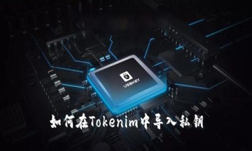 如何在Tokenim中导入私钥