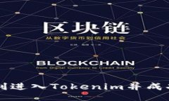 : 如何顺利进入Tokenim并成