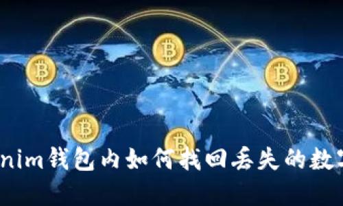 Tokenim钱包内如何找回丢失的数字币？
