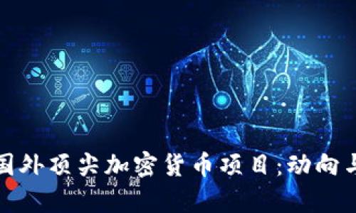 探索国外顶尖加密货币项目：动向与前景