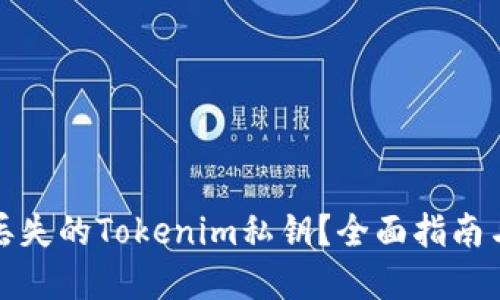 如何找回丢失的Tokenim私钥？全面指南与解决方案