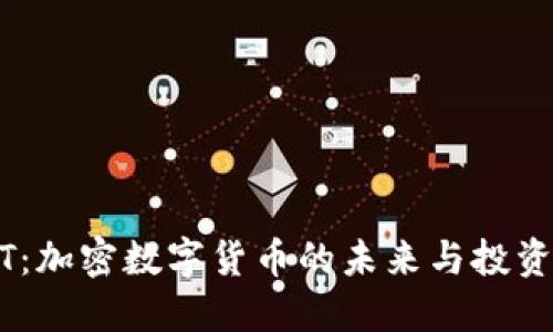 WSCT：加密数字货币的未来与投资机会