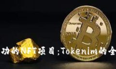 打造成功的NFT项目：Toke