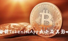 深入解析TokenimApp大小及其