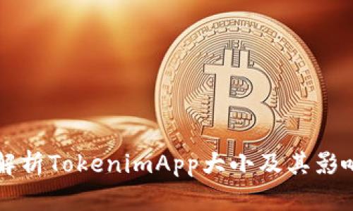 深入解析TokenimApp大小及其影响因素