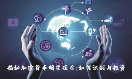 揭秘加密货币明星项目：如何识别与投资