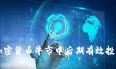 如何在加密货币牛市中后