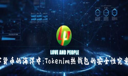在数字货币的海洋中：Tokenim热钱包的安全性究竟如何？