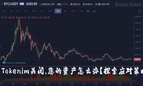 当Tokenim关闭，您的资产怎么办？探索应对策略！