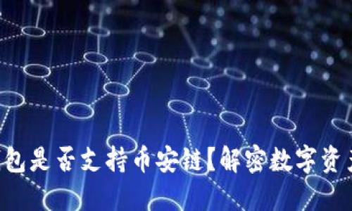 Tokenim钱包是否支持币安链？解密数字资产管理之谜