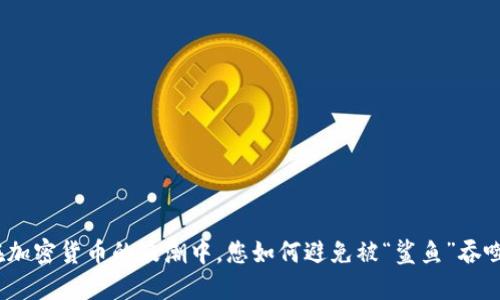 在加密货币的浪潮中，您如何避免被“鲨鱼”吞噬？