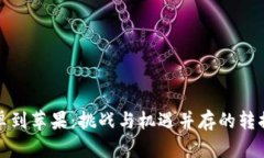 从安卓到苹果：挑战与机