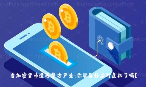 当加密货币遭遇警方严查：你准备好应对危机了吗？