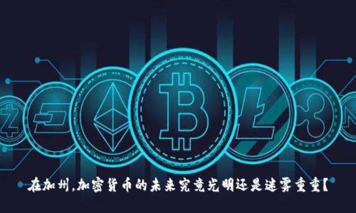 在加州，加密货币的未来究竟光明还是迷雾重重？
