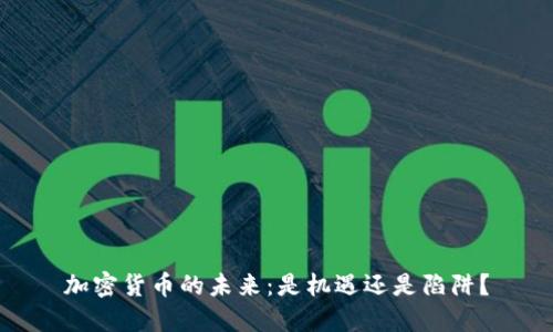 加密货币的未来：是机遇还是陷阱？
