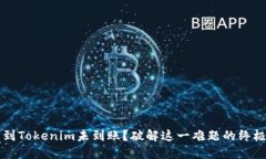 转币到Tokenim未到账？破解