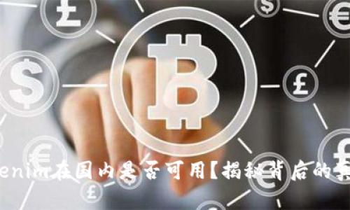 Tokenim在国内是否可用？揭秘背后的真相！