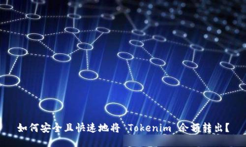 如何安全且快速地将 Tokenim 余额转出？