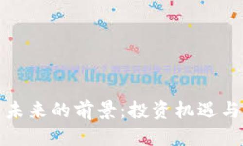 加密货币未来的前景：投资机遇与风险分析