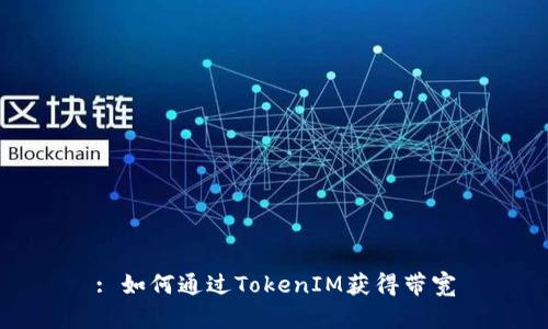 : 如何通过TokenIM获得带宽